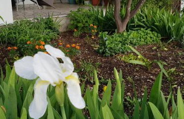 Apartment Srsen - Foto 36