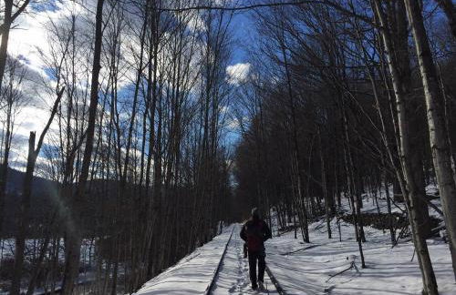 Bellwood Cottage 8-14min to all Roxbury Wed Venues - Foto 16