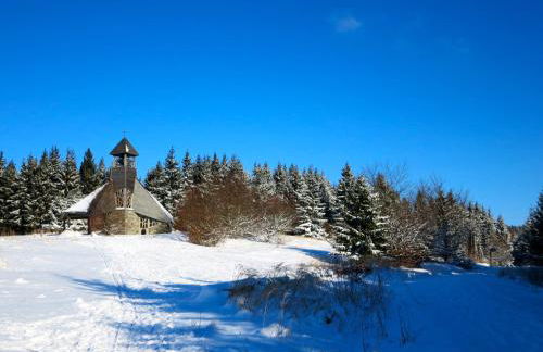 Natururlaub Frankenau - Foto 29