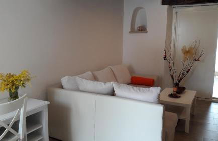 Apartment Nena- apartman sa posebnim ulazom u prizemlju, terasom i zelenom okućnicom - Foto 4