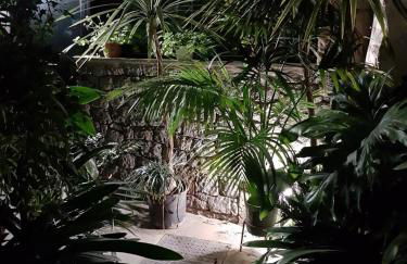 Cho Almeida - Foto 38