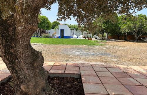 Villa Morena Saltwater Pool & Alentejo Charm - Foto 26