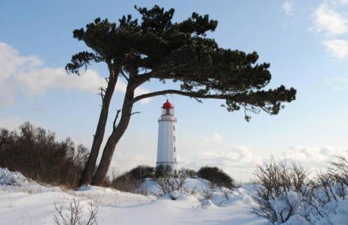 Ferienwohnungen Albrecht - Foto 11