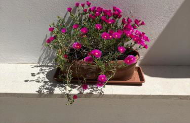 Villa Yasmine - Foto 9