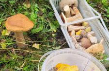 Domki Przy Lesie - Foto 44