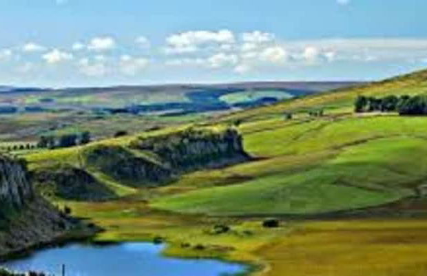 The Orchard House - Foto 33