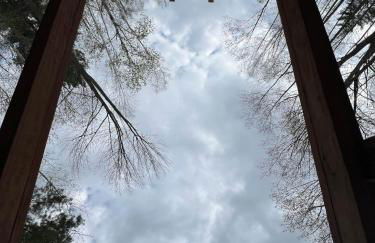 Maison Flambeau - Foto 45