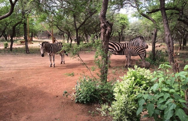 Kruger Cottage - Foto 18