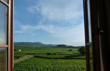 Domaine du Bouxhof - Foto 4