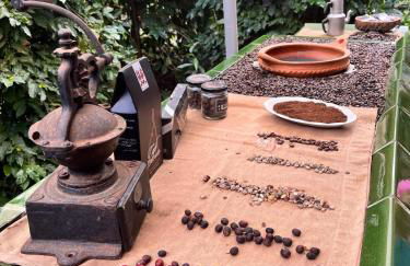 El Paraíso Agaete Valle - Foto 55