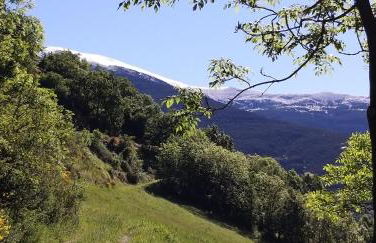 Apartament SIAT - Foto 27