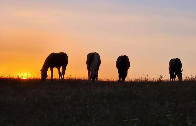 Home With Garden, Hallenberg - Foto 37