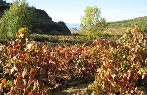 75 Avenida de la Rioja - Foto 30