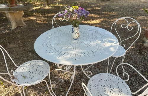 La maison aux oiseaux - Luberon - Foto 59