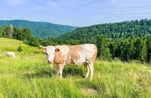 Apartment Tannenblick by Interhome - Foto 2