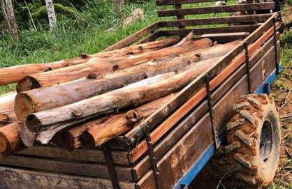 Chalé rural- hospedagem e experiência! - Foto 6