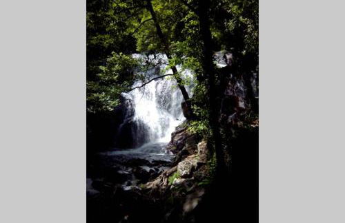 CASA RURAL LOS PORTALES Valle del Jerte - Foto 40