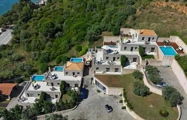 Golden King - Foto 61