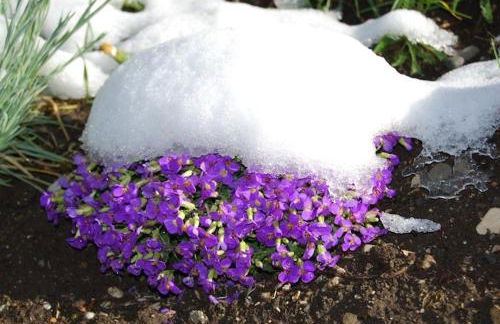 Chalet Tobià Apartments - Foto 39