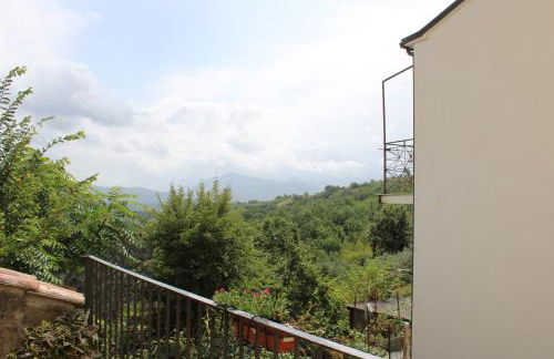 La collina degli ulivi - Foto 19