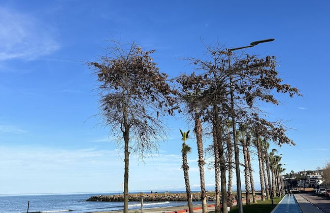 GREEN CİTY YALINCAK - Photo 32