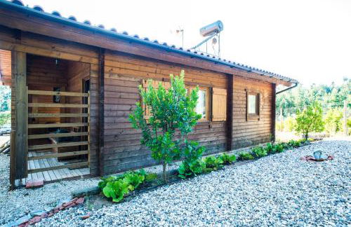 Quintinha do Casal Ruivo - Foto 35