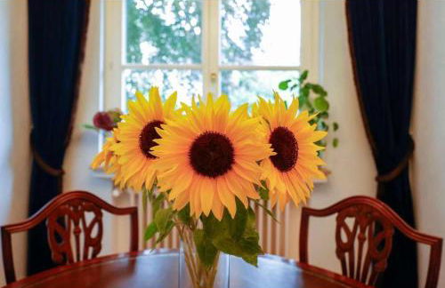 Residence Siedlinghausen - Foto 22