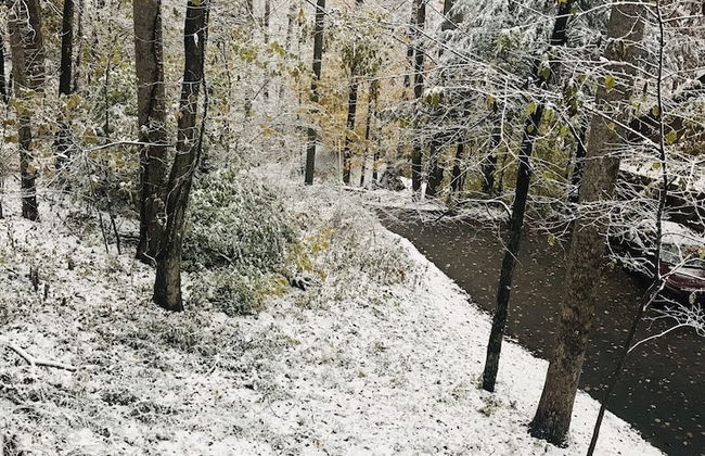 Blessed Nest 1 Bedroom Cabin by RedAwning - Foto 27