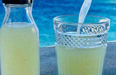 Archipelagotinos - Foto 13