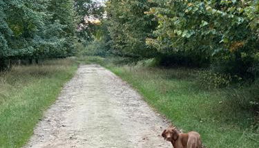 Barn conversion in one of Stamford villages - Foto 5