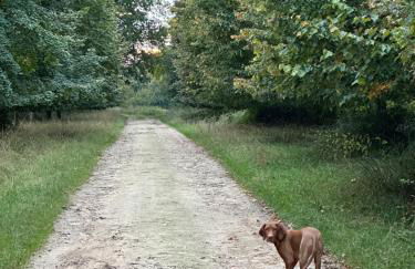 Barn conversion in one of Stamford villages - Foto 5