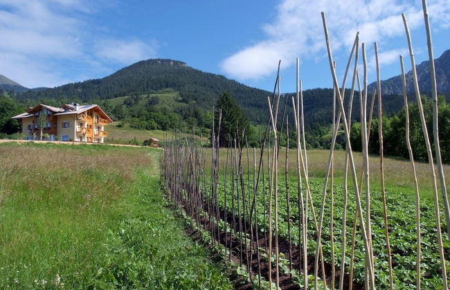 Agritur Maso Chemela - Foto 51