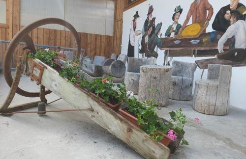 Agritur LA DASA - Foto 54