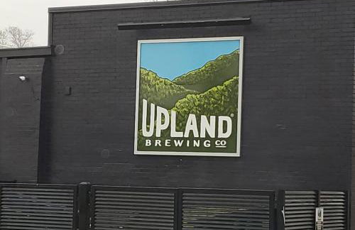 Orange Delite - Photo 28