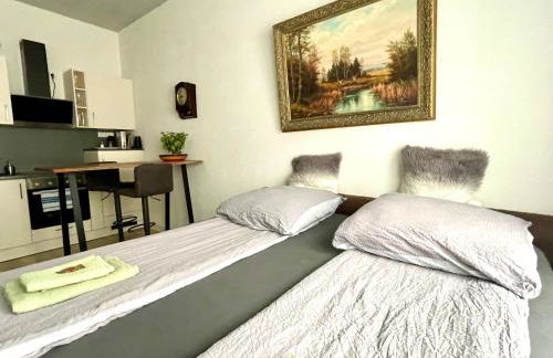 Goldstadt Classic Suite - City Apartament am Schlössle - Foto 35