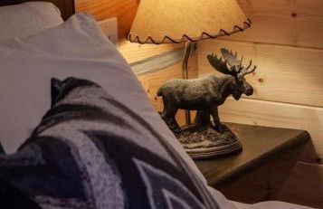 Denali Wild Stay - Moose Cabin, Free Wifi, 2 private bedrooms, sleep 6 - Photo 20