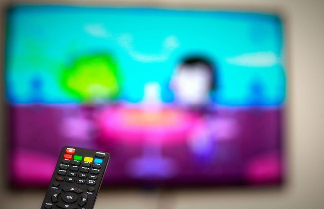 Pensiunea Elemar - Foto 15