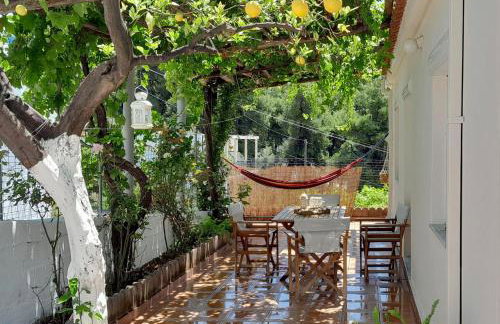 Lemon House - Foto 29