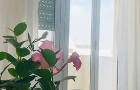 Seven House Poetto - Foto 21