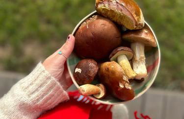 Stodoła Drwęck - Foto 29