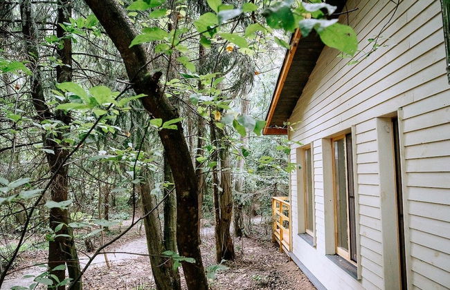 Skokovo Park - Foto 77