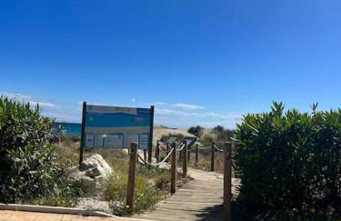 First Line Beach Beautiful and Bright Home - Photo 32