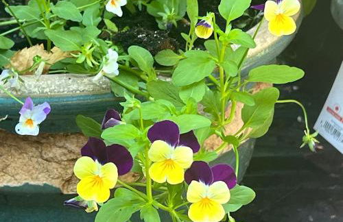 Secluded Waterfront Cabin Rental on Lake Superior near Red Cliff, Wisconsin - Foto 44