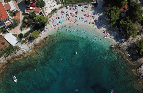 Apartmani Vila Nela - Foto 14