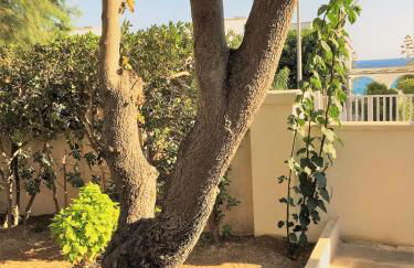 Le Due Pigne - Foto 56