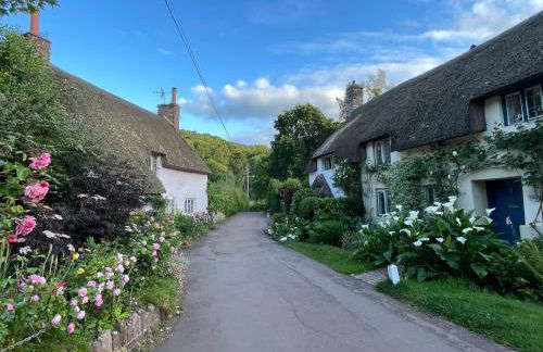 The Old Sweet Shop - Photo 45