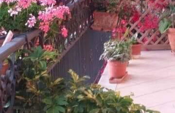 Casa Ester - Foto 18