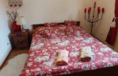 Bieszczadzki Dworek - Foto 29