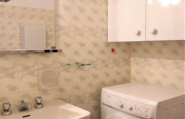 Pettirosso - Photo 19