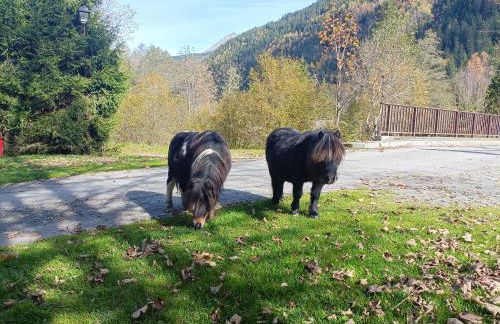 Le Cocon des Cîmes - Photo 18